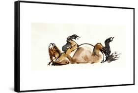 Rolling Horse (Przewalski), 2013-Mark Adlington-Framed Stretched Canvas