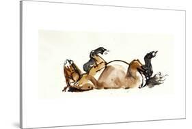 Rolling Horse (Przewalski), 2013-Mark Adlington-Stretched Canvas