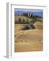 Rolling Landscape in Siena Province, Tuscany, Italy-Bruno Morandi-Framed Photographic Print