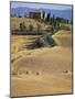 Rolling Landscape in Siena Province, Tuscany, Italy-Bruno Morandi-Mounted Photographic Print