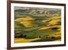 Rolling landscape of wheat fields and distant red barn viewed from Steptoe Butte, Palouse farming r-Adam Jones-Framed Photographic Print