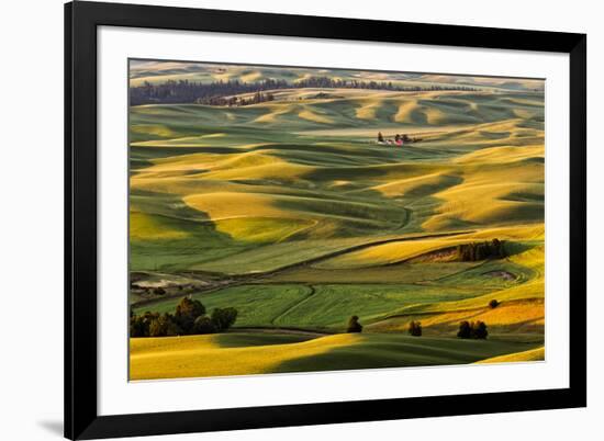 Rolling landscape of wheat fields and distant red barn viewed from Steptoe Butte, Palouse farming r-Adam Jones-Framed Photographic Print