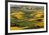 Rolling landscape of wheat fields and distant red barn viewed from Steptoe Butte, Palouse farming r-Adam Jones-Framed Photographic Print
