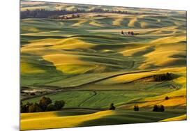 Rolling landscape of wheat fields and distant red barn viewed from Steptoe Butte, Palouse farming r-Adam Jones-Mounted Photographic Print