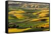 Rolling landscape of wheat fields and distant red barn viewed from Steptoe Butte, Palouse farming r-Adam Jones-Framed Stretched Canvas