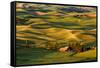 Rolling landscape of wheat fields and distant red barn viewed from Steptoe Butte, Palouse farming r-Adam Jones-Framed Stretched Canvas