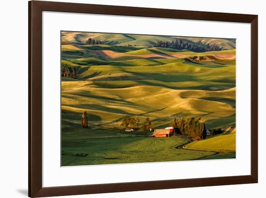 Rolling landscape of wheat fields and distant red barn viewed from Steptoe Butte, Palouse farming r-Adam Jones-Framed Photographic Print