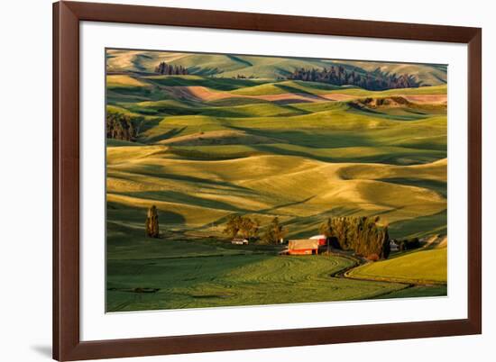 Rolling landscape of wheat fields and distant red barn viewed from Steptoe Butte, Palouse farming r-Adam Jones-Framed Photographic Print