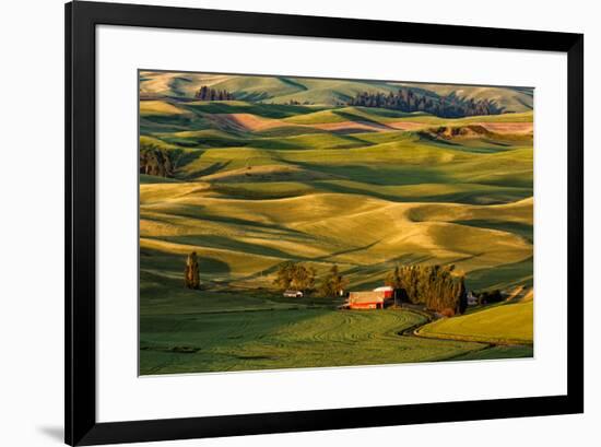 Rolling landscape of wheat fields and distant red barn viewed from Steptoe Butte, Palouse farming r-Adam Jones-Framed Photographic Print