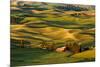 Rolling landscape of wheat fields and distant red barn viewed from Steptoe Butte, Palouse farming r-Adam Jones-Mounted Photographic Print