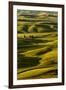 Rolling landscape of wheat fields and red barn viewed from Steptoe Butte, Palouse farming region of-Adam Jones-Framed Photographic Print