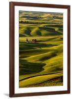 Rolling landscape of wheat fields and red barn viewed from Steptoe Butte, Palouse farming region of-Adam Jones-Framed Photographic Print