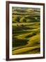 Rolling landscape of wheat fields and red barn viewed from Steptoe Butte, Palouse farming region of-Adam Jones-Framed Photographic Print