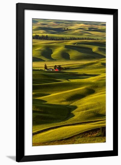 Rolling landscape of wheat fields and red barn viewed from Steptoe Butte, Palouse farming region of-Adam Jones-Framed Photographic Print