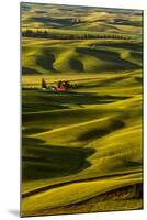 Rolling landscape of wheat fields and red barn viewed from Steptoe Butte, Palouse farming region of-Adam Jones-Mounted Photographic Print