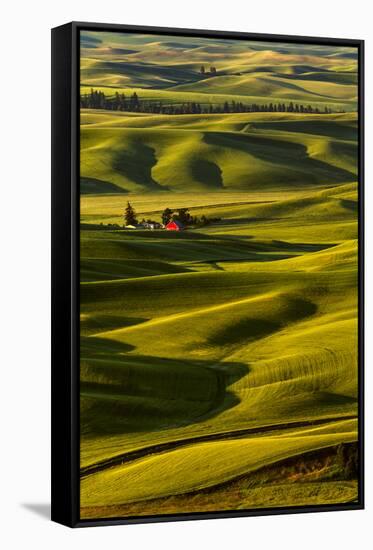 Rolling landscape of wheat fields and red barn viewed from Steptoe Butte, Palouse farming region of-Adam Jones-Framed Stretched Canvas