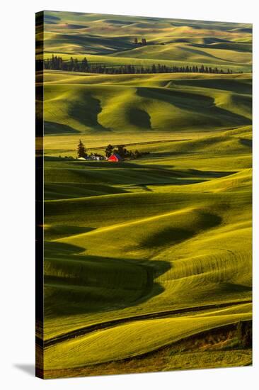 Rolling landscape of wheat fields and red barn viewed from Steptoe Butte, Palouse farming region of-Adam Jones-Stretched Canvas