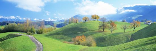 Premium Photographic Print, , large
