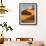 Rolling Orange Sand Dunes and Sand Ripples in the Erg Chebbi Sand Sea Near Merzouga, Morocco-Lee Frost-Framed Photographic Print displayed on a wall