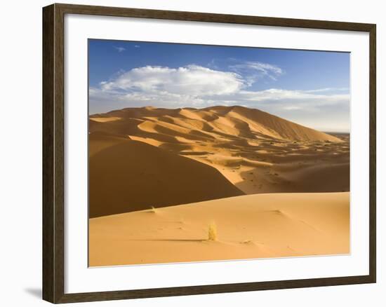 Rolling Orange Sand Dunes and Sand Ripples in the Erg Chebbi Sand Sea Near Merzouga, Morocco-null-Framed Photographic Print