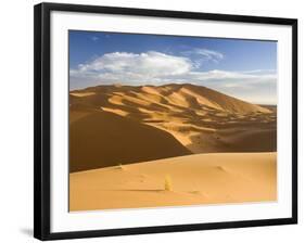 Rolling Orange Sand Dunes and Sand Ripples in the Erg Chebbi Sand Sea Near Merzouga, Morocco-null-Framed Photographic Print