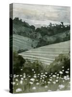 Rolling Pasture II-Emma Caroline-Stretched Canvas