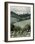 Rolling Pasture II-Emma Caroline-Framed Art Print