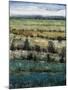 Rolling Terrain I-Tim O'toole-Mounted Giclee Print