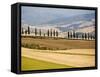 Rolling Tuscan Countryside-Marco Cristofori-Framed Stretched Canvas