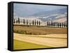 Rolling Tuscan Countryside-Marco Cristofori-Framed Stretched Canvas