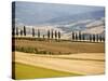 Rolling Tuscan Countryside-Marco Cristofori-Stretched Canvas