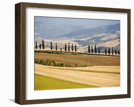 Rolling Tuscan Countryside-Marco Cristofori-Framed Premium Photographic Print