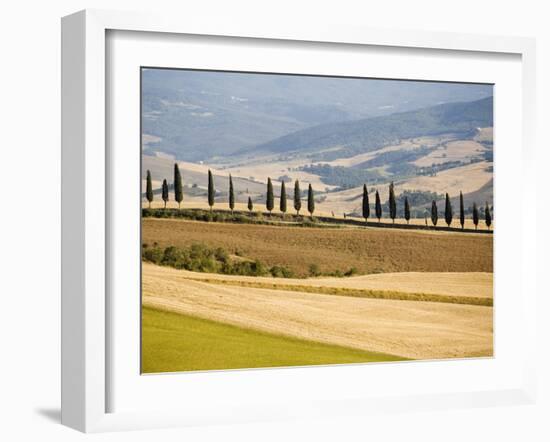 Rolling Tuscan Countryside-Marco Cristofori-Framed Premium Photographic Print