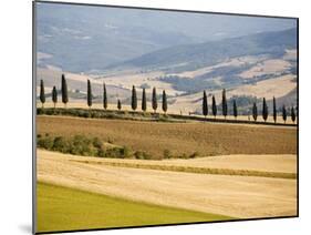 Rolling Tuscan Countryside-Marco Cristofori-Mounted Premium Photographic Print