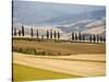 Rolling Tuscan Countryside-Marco Cristofori-Stretched Canvas