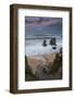 Rolling waves of the Pacific Ocean onto Garrapata Beach in Big Sur, California-Sheila Haddad-Framed Photographic Print