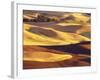 Rolling Wheat and Fallow Fields-Darrell Gulin-Framed Photographic Print