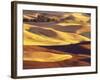 Rolling Wheat and Fallow Fields-Darrell Gulin-Framed Photographic Print