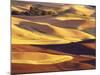 Rolling Wheat and Fallow Fields-Darrell Gulin-Mounted Photographic Print