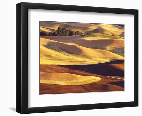 Rolling Wheat and Fallow Fields-Darrell Gulin-Framed Photographic Print