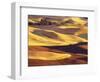 Rolling Wheat and Fallow Fields-Darrell Gulin-Framed Photographic Print