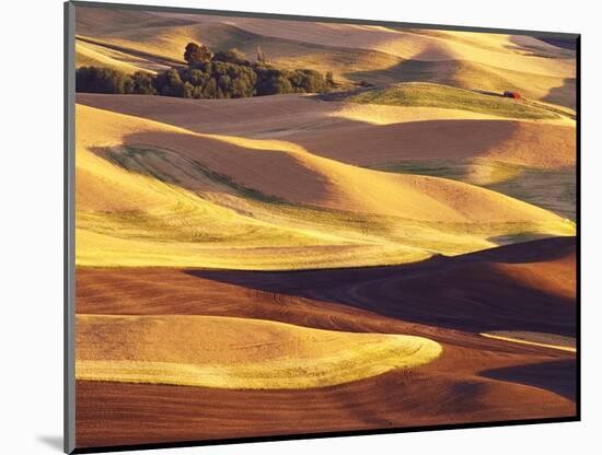 Rolling Wheat and Fallow Fields-Darrell Gulin-Mounted Photographic Print