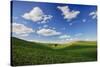 Rolling Wheat Fields with Lone Tree-Terry Eggers-Stretched Canvas