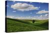 Rolling Wheat Fields with Lone Tree-Terry Eggers-Stretched Canvas