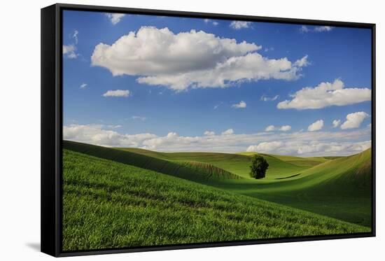 Rolling Wheat Fields with Lone Tree-Terry Eggers-Framed Stretched Canvas