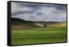 Rolling Wheat Fields with Lone Tree-Terry Eggers-Framed Stretched Canvas