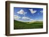 Rolling Wheat Fields with Lone Tree-Terry Eggers-Framed Photographic Print