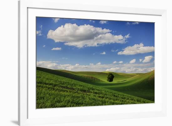 Rolling Wheat Fields with Lone Tree-Terry Eggers-Framed Photographic Print