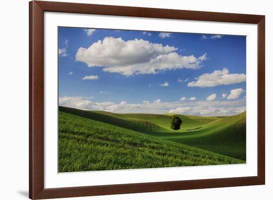 Rolling Wheat Fields with Lone Tree-Terry Eggers-Framed Photographic Print