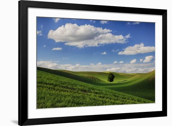 Rolling Wheat Fields with Lone Tree-Terry Eggers-Framed Photographic Print